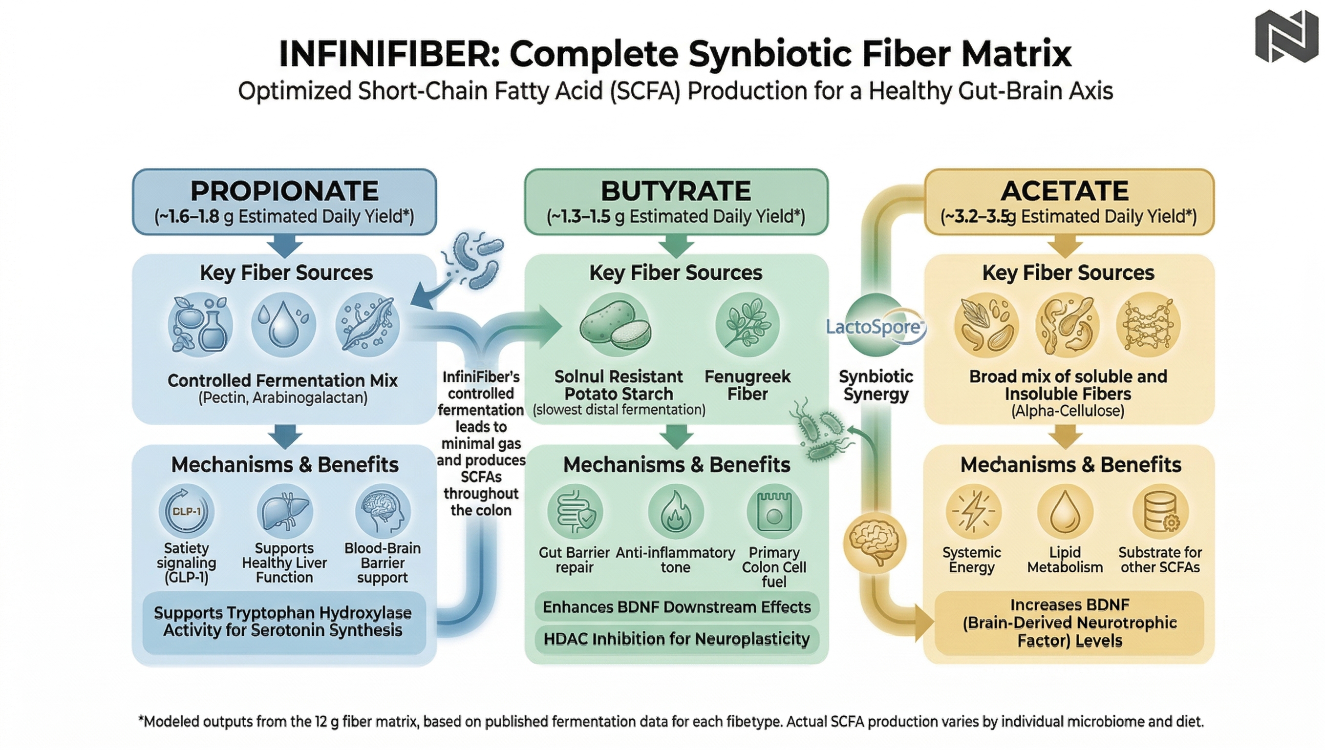 Chart illustrating short-chain fatty acid production from fiber