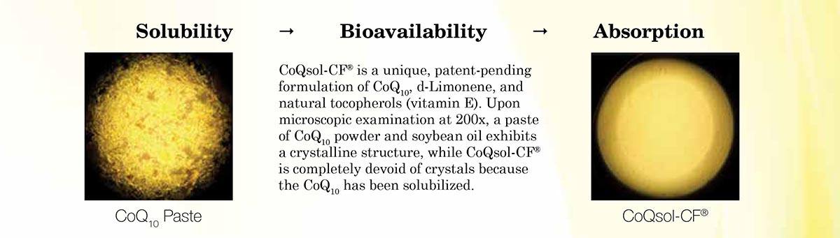 CoQ10 Solubility