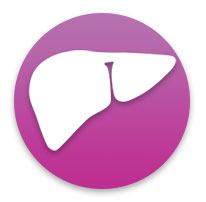 Milk Thistle Supports Liver Health Milk Thistle Supports Liver Health