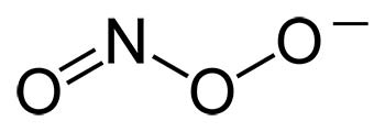 Peroxynitrite Structure Peroxynitrite Structure